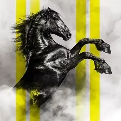 Fieracavalli 2025