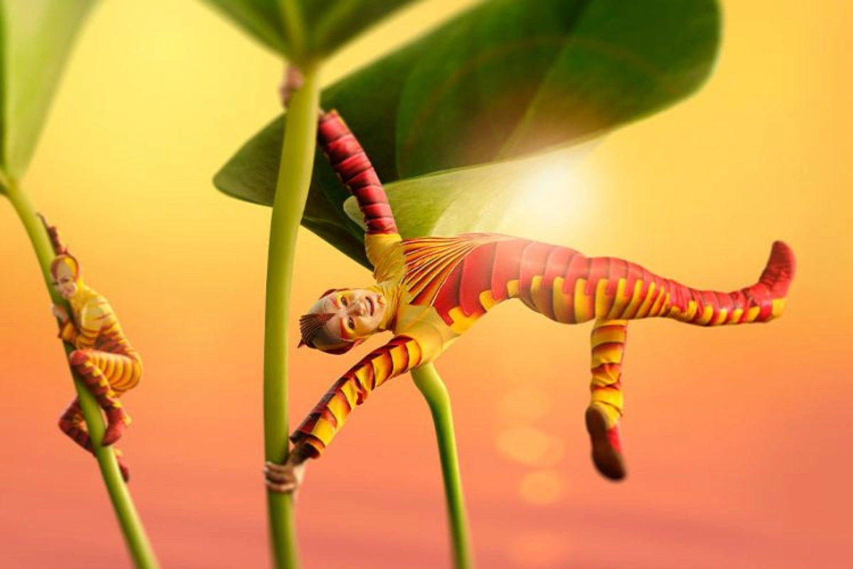 Ovo Cirque Du Soleil