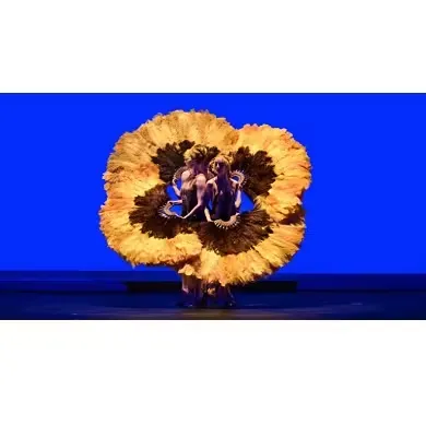 Botanica - Season 2 Momix