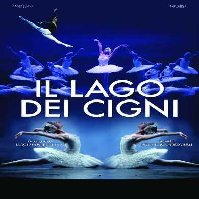 Il Lago Dei Cigni
