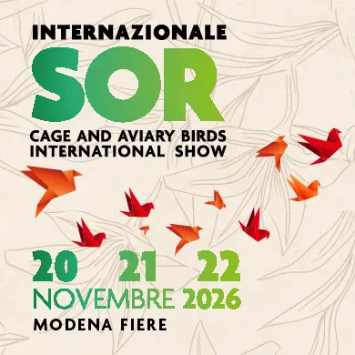 Internazionale Sor